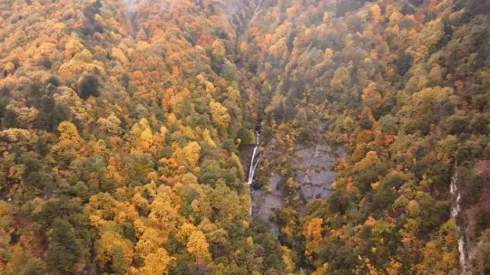 Şehrin içinde çağlayan güzellik