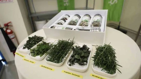 Sekapark A.Ş. gözünü yurtdışına çevirdi