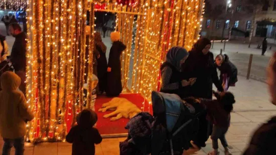 Sevimli köpek, yılbaşı süslemelerinin maskotu oldu