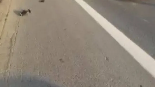 Seyrantepe TEM Otoyolu'nda feci kaza: 1 ölü, 1 ağır yaralı