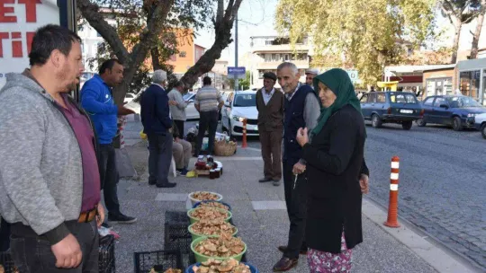 Sezonun ilk melki mantarları Sındırgı'dan