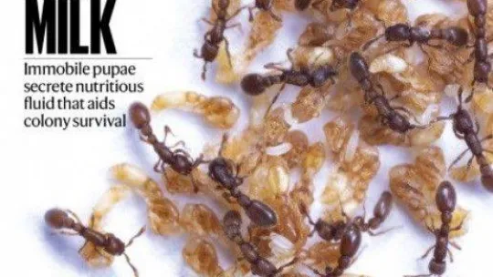 Sigara ve alkol alışkanlığının genetik kodları çözüldü