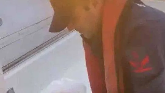 Şile'de martıya hayat kurtaran müdahale