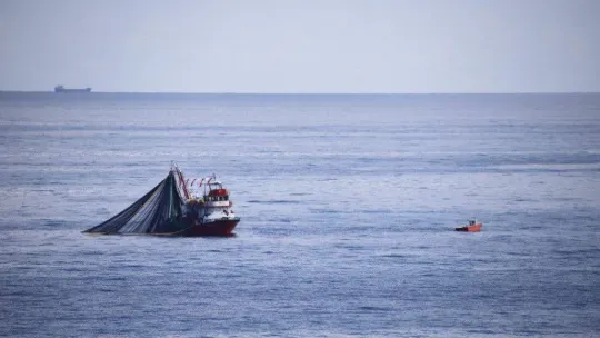 Şile Palamut Festivali başlıyor