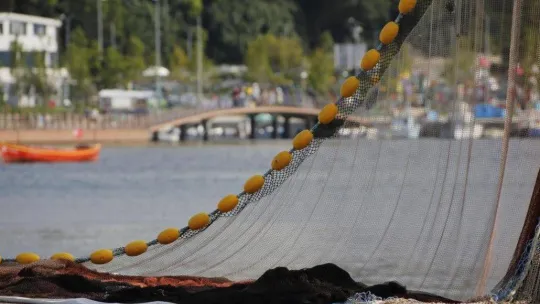 Şile Palamut Festivali başlıyor
