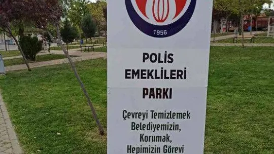 Sincan'da ölü bulunan kedilerin zehirlendiği iddia edildi