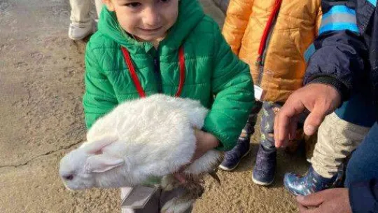 Sincan'daki hayvan Sevgi Bahçesi'ni 1410 öğrenci ziyaret etti