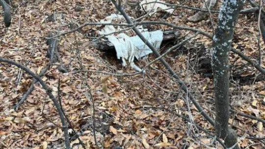 Şırnak'ta 'Eren Abluka Sonbahar-Kış-19 Şehit Jandarma Astsubay Üstçavuş Serkan Ünsal-1 Operasyonu' başlatıldı