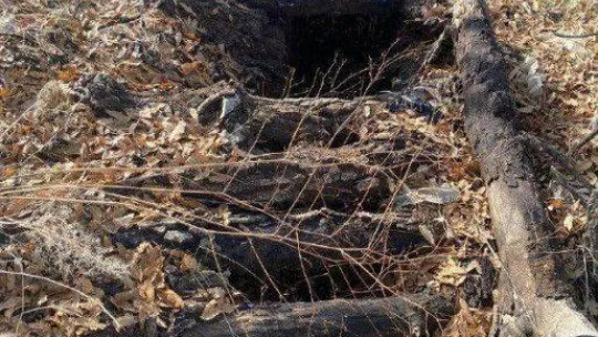 Şırnak'ta 'Eren Abluka Sonbahar-Kış-19 Şehit Jandarma Astsubay Üstçavuş Serkan Ünsal-1 Operasyonu' başlatıldı