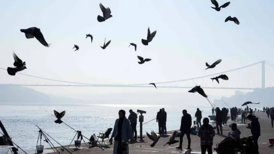 Sis bulutlarının içinde kaybolan Yavuz Sultan Selim Köprüsü, kartpostallık görüntüler oluşturdu