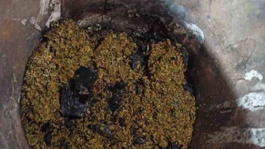 Şişli'de polisi gören şüpheli, bonzaiyi sobaya attı