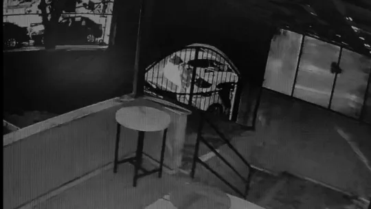 Şişli'deki cinayetin ve kadının kaçırıldığı anların görüntüsü ortaya çıktı