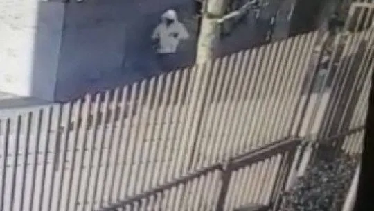 Şişlide cins köpek hırsızlığı kamerada: Köpek, polis baskınıyla kurtarıldı