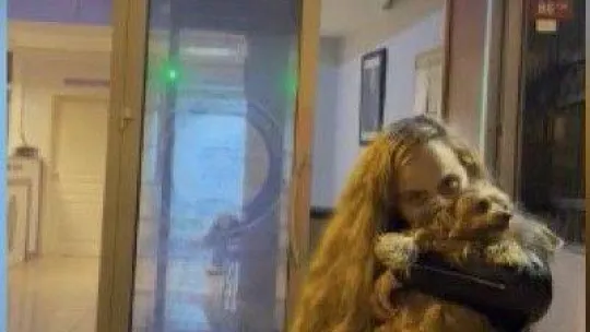 Şişlide cins köpek hırsızlığı kamerada: Köpek, polis baskınıyla kurtarıldı