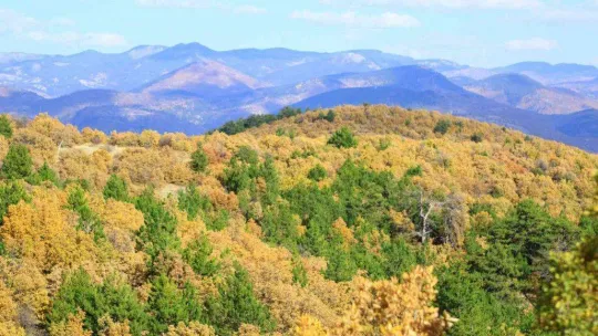 Soğuksu Milli Parkı'nda masalsı sonbahar manzarası