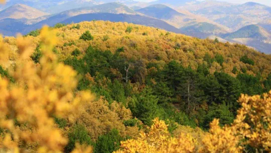 Soğuksu Milli Parkı'nda masalsı sonbahar manzarası