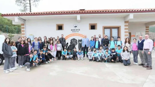 Sokak hayvanları bu merkezde şifa buluyor