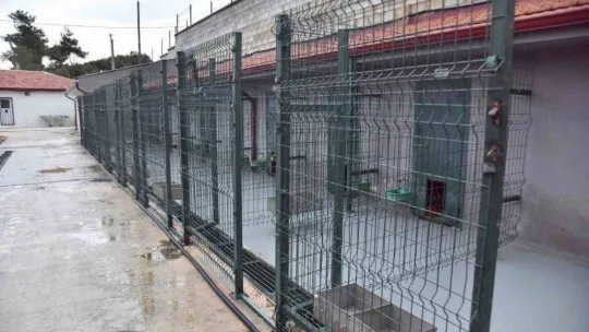 Sokak hayvanları için ısıtıcı kuruldu