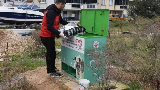 Sokaktaki canlar mamaya kolayca ulaşıyor
