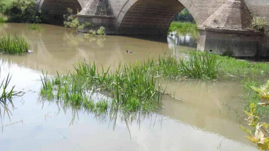 Son yağışlar Tunca Nehri'ne can suyu oldu