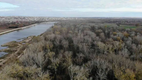 Son yılların en kurak dönemini yaşayan Edirne'de, yağışlar nehirlere can suyu oldu, debiler arttı