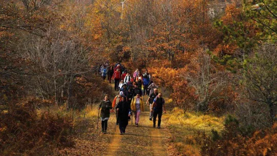 Sonbaharın her tonunu Büyükşehir'le keşfettiler