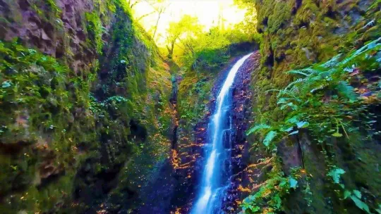 Sonbaharın renkleri ile Nüzhetiye Şelalesi birleşti, eşsiz görüntüler ortaya çıktı
