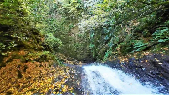 Sonbaharın renkleri ile Nüzhetiye Şelalesi birleşti, eşsiz görüntüler ortaya çıktı