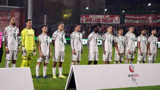 Spor Toto 1. Lig: Pendikspor: 3 - Sakaryaspor: 1