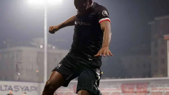 Spor Toto 1. Lig: Pendikspor: 3 - Sakaryaspor: 1