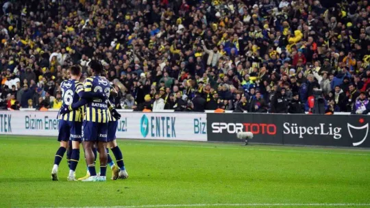 Spor Toto Süper Lig: Fenerbahçe: 5 - Kasımpaşa: 1 (Maç sonucu)