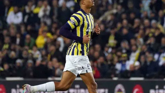 Spor Toto Süper Lig: Fenerbahçe: 4 - Konyaspor: 0 (Maç sonucu)