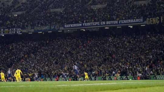 Spor Toto Süper Lig: İstanbulspor: 2 - Fenerbahçe: 5 (Maç sonucu)