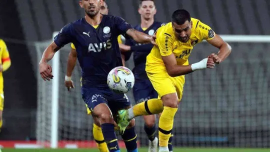 Spor Toto Süper Lig: İstanbulspor: 2 - Fenerbahçe: 5 (Maç sonucu)