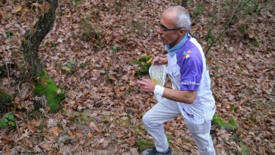 Sporcular dereceye girebilmek için ter döktü