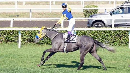 Sporda 2022 böyle geçti