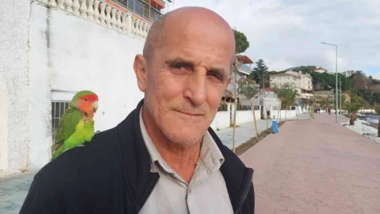 Stresli papağanı kendine yoldaş edindi, her yere omzunda götürüyor