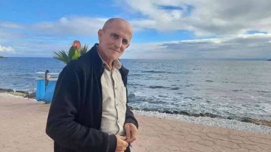 Stresli papağanı kendine yoldaş edindi, her yere omzunda götürüyor