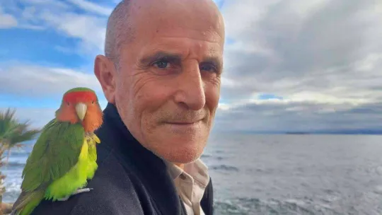 Stresli papağanı kendine yoldaş edindi, her yere omzunda götürüyor