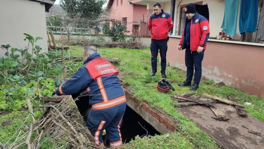 Su dolu çukura düşen inek, lahanayla kurtarıldı