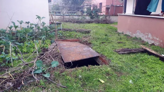 Su dolu çukura düşen inek, lahanayla kurtarıldı