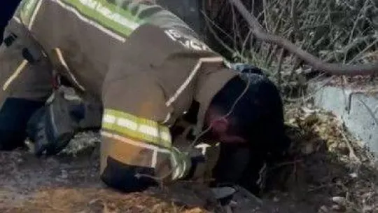 Su kanalına düşen kuzu için yolu kazdılar