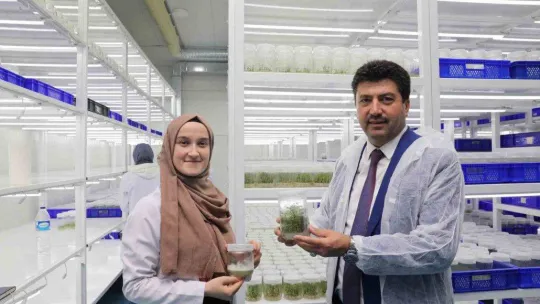 SUBÜ'de güz yarıyılında bin 323 öğrenci iş deneyimi kazandı