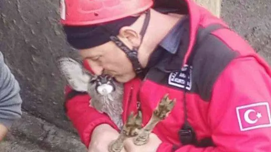 Sulama kanalına düşen karaca yavrusu kurtarıldı