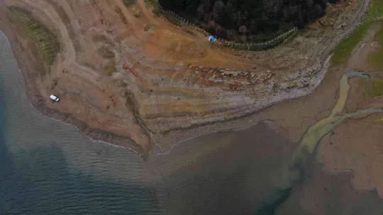 Suların çekildiği Ömerli Baraj'ında artık büyükbaş hayvanlar otlatılıyor