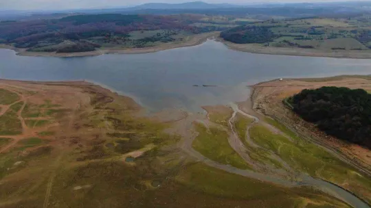 Suların çekildiği Ömerli Baraj'ında artık büyükbaş hayvanlar otlatılıyor