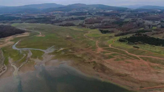 Suların çekildiği Ömerli Baraj'ında artık büyükbaş hayvanlar otlatılıyor