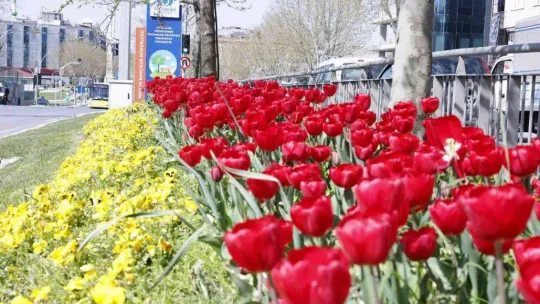 Sultangazi 'Yeşil' ile Güzel