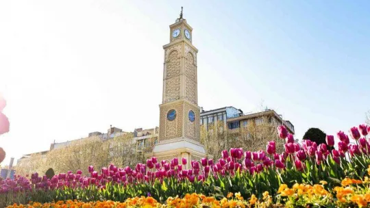 Sultangazi 'Yeşil' ile Güzel