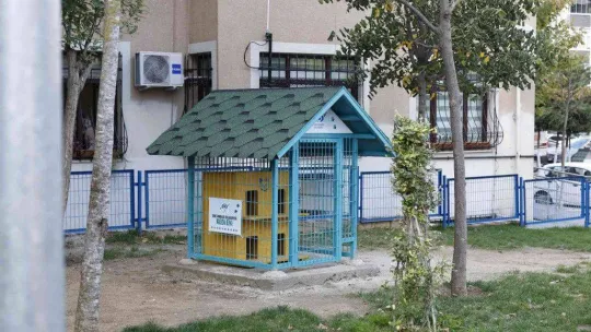 Sultangazi Belediyesi sokak hayvanlarına desteğini sürdürüyor